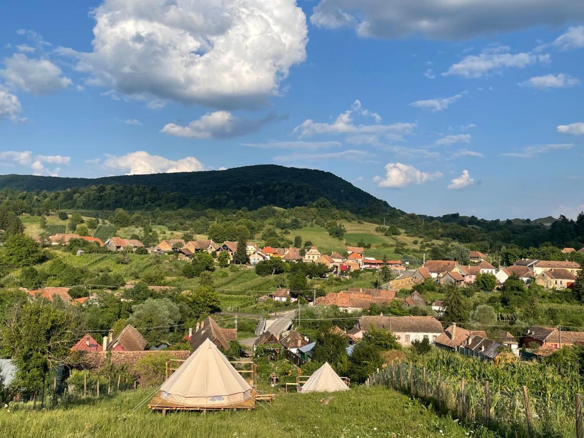 Saschiz 130/Lodging And Glamping Exterior foto
